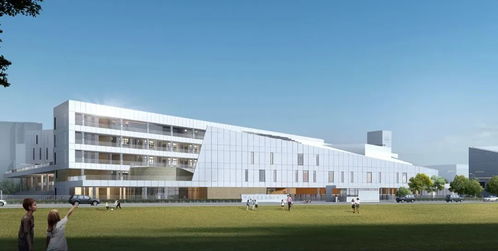 金中江心洲分校新技術開發項目啟動，智慧校園建設再提速